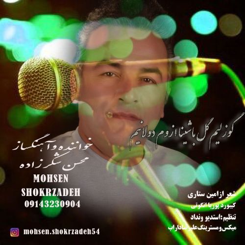 محسن شکرزاده گوزلیم گل باشینا اوزوم دولانیم